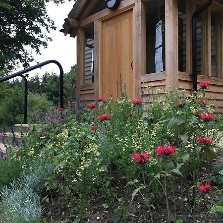 South Downs Eco Lodge & Camping East Meon Dış mekan fotoğraf