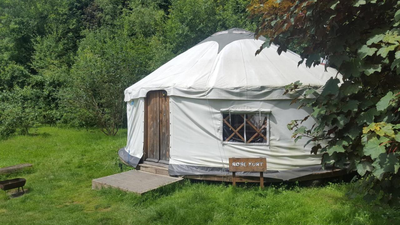 South Downs Eco Lodge & Camping East Meon Dış mekan fotoğraf