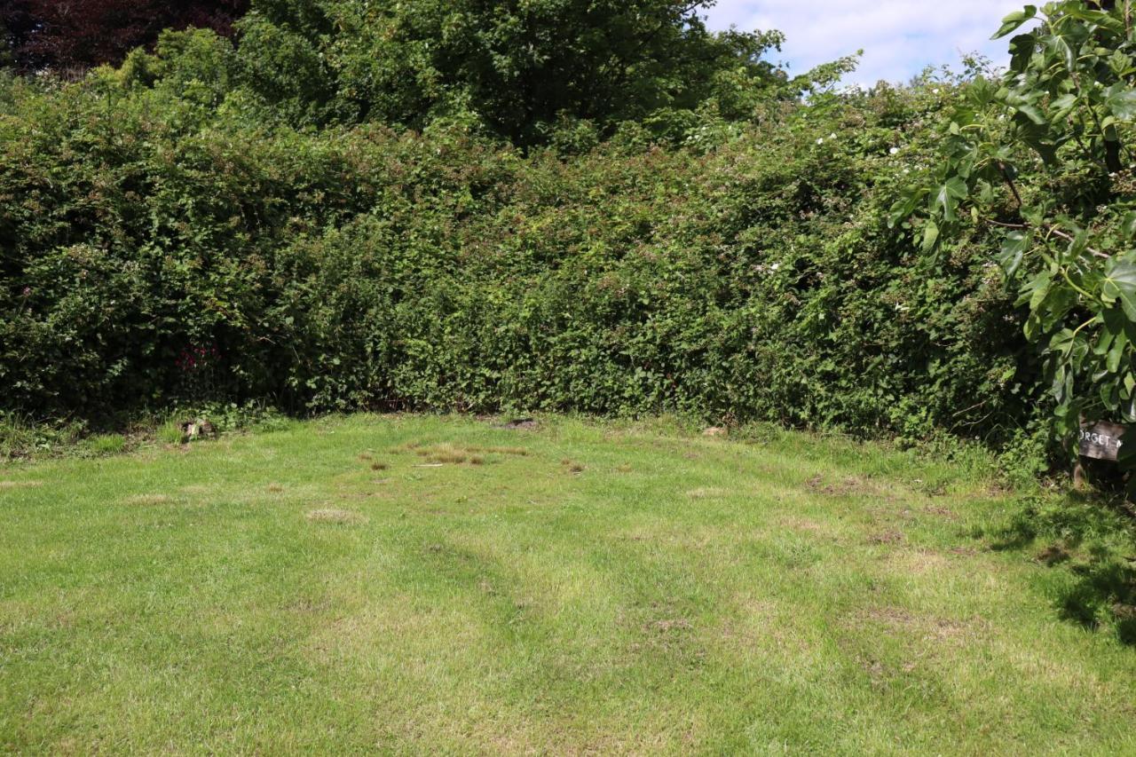 South Downs Eco Lodge & Camping East Meon Dış mekan fotoğraf