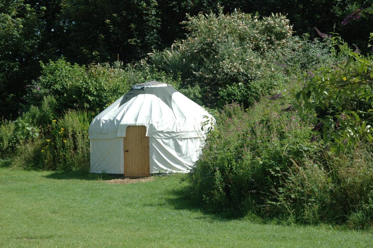 South Downs Eco Lodge & Camping East Meon Dış mekan fotoğraf