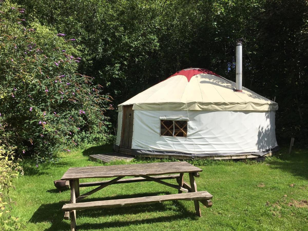 South Downs Eco Lodge & Camping East Meon Dış mekan fotoğraf