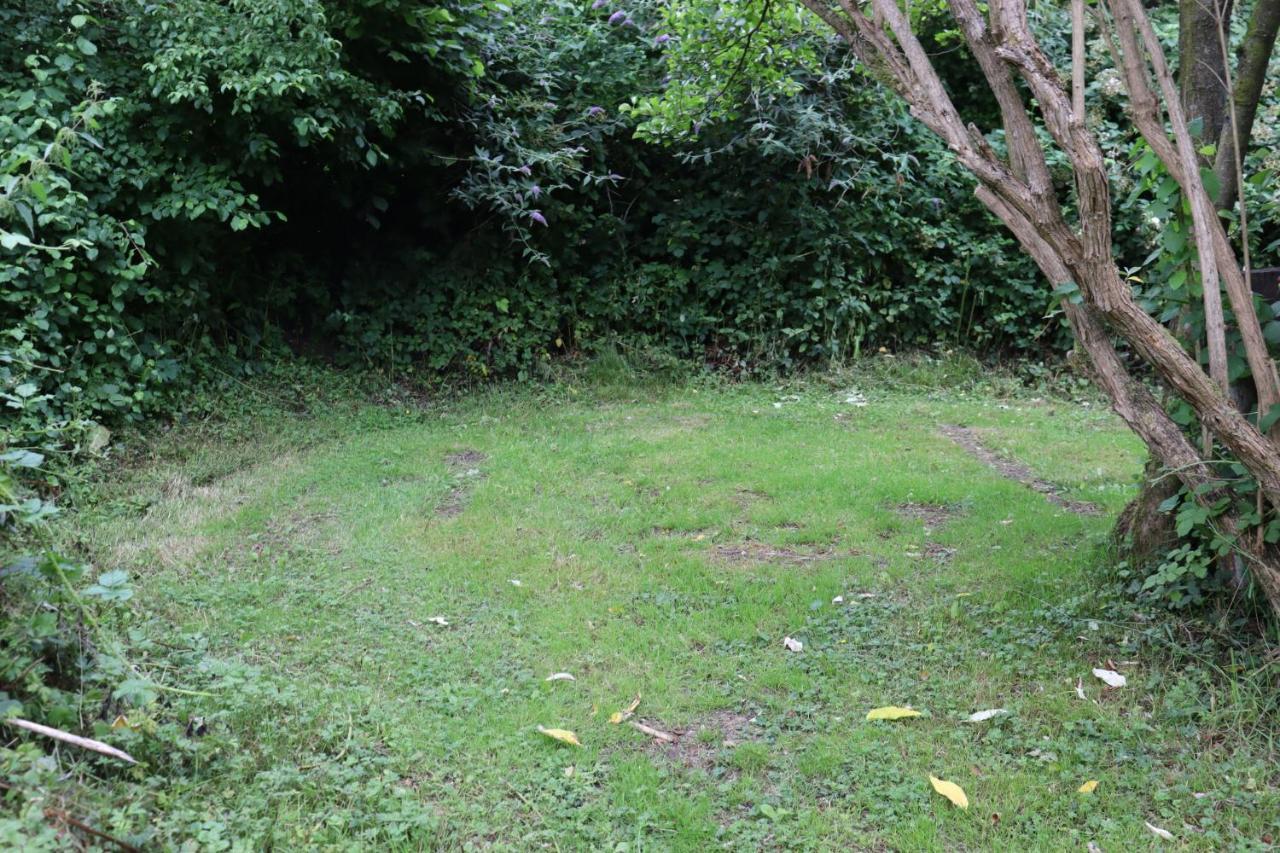 South Downs Eco Lodge & Camping East Meon Dış mekan fotoğraf