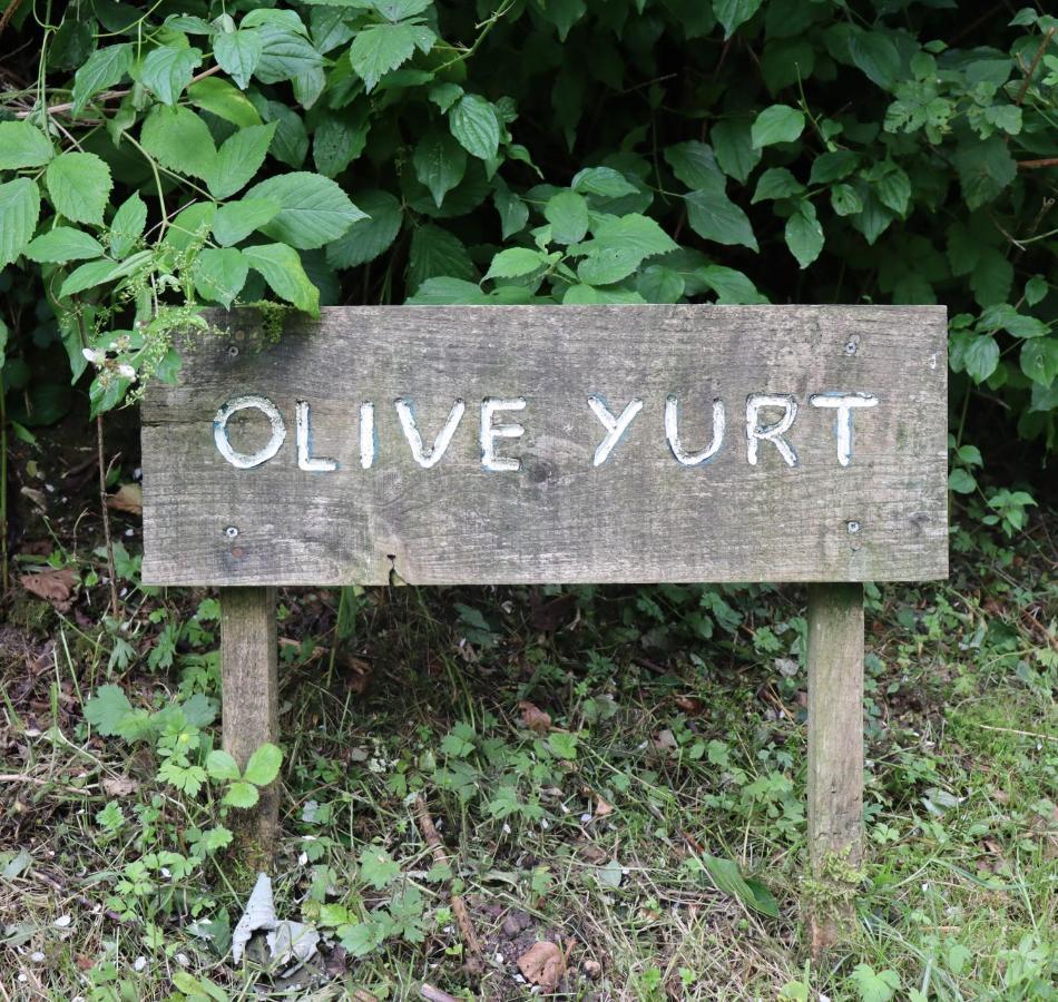 South Downs Eco Lodge & Camping East Meon Dış mekan fotoğraf