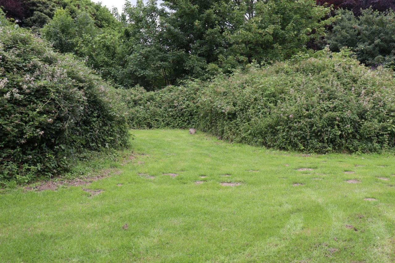 South Downs Eco Lodge & Camping East Meon Dış mekan fotoğraf