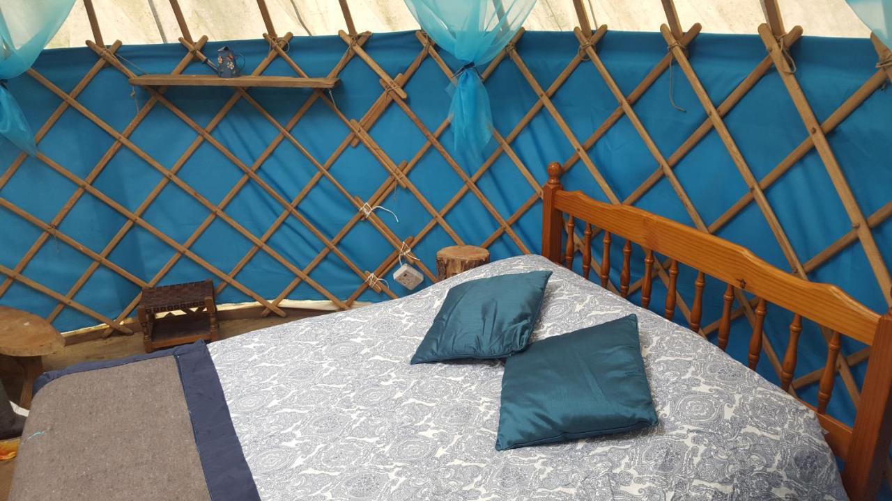 South Downs Eco Lodge & Camping East Meon Dış mekan fotoğraf