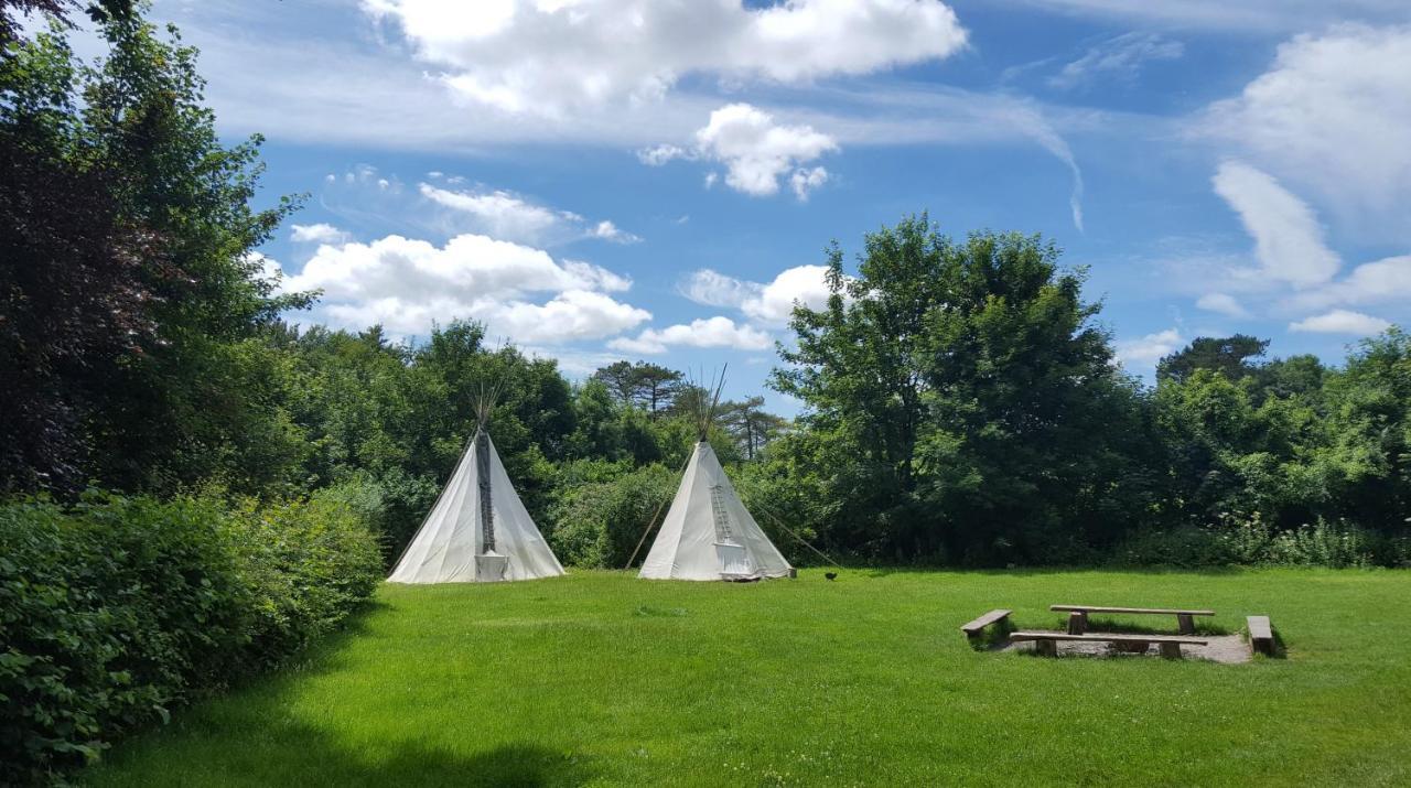 South Downs Eco Lodge & Camping East Meon Dış mekan fotoğraf