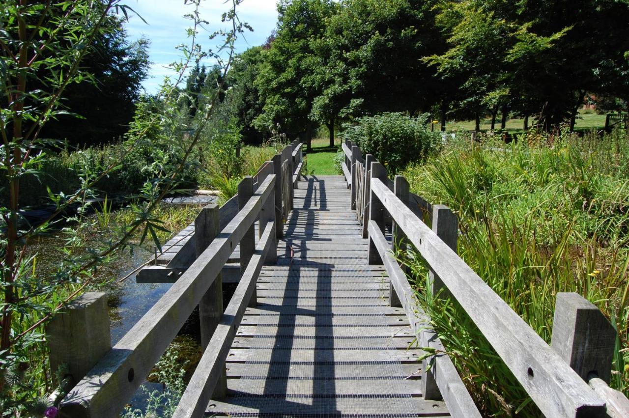 South Downs Eco Lodge & Camping East Meon Dış mekan fotoğraf