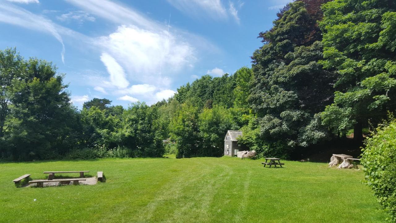South Downs Eco Lodge & Camping East Meon Dış mekan fotoğraf