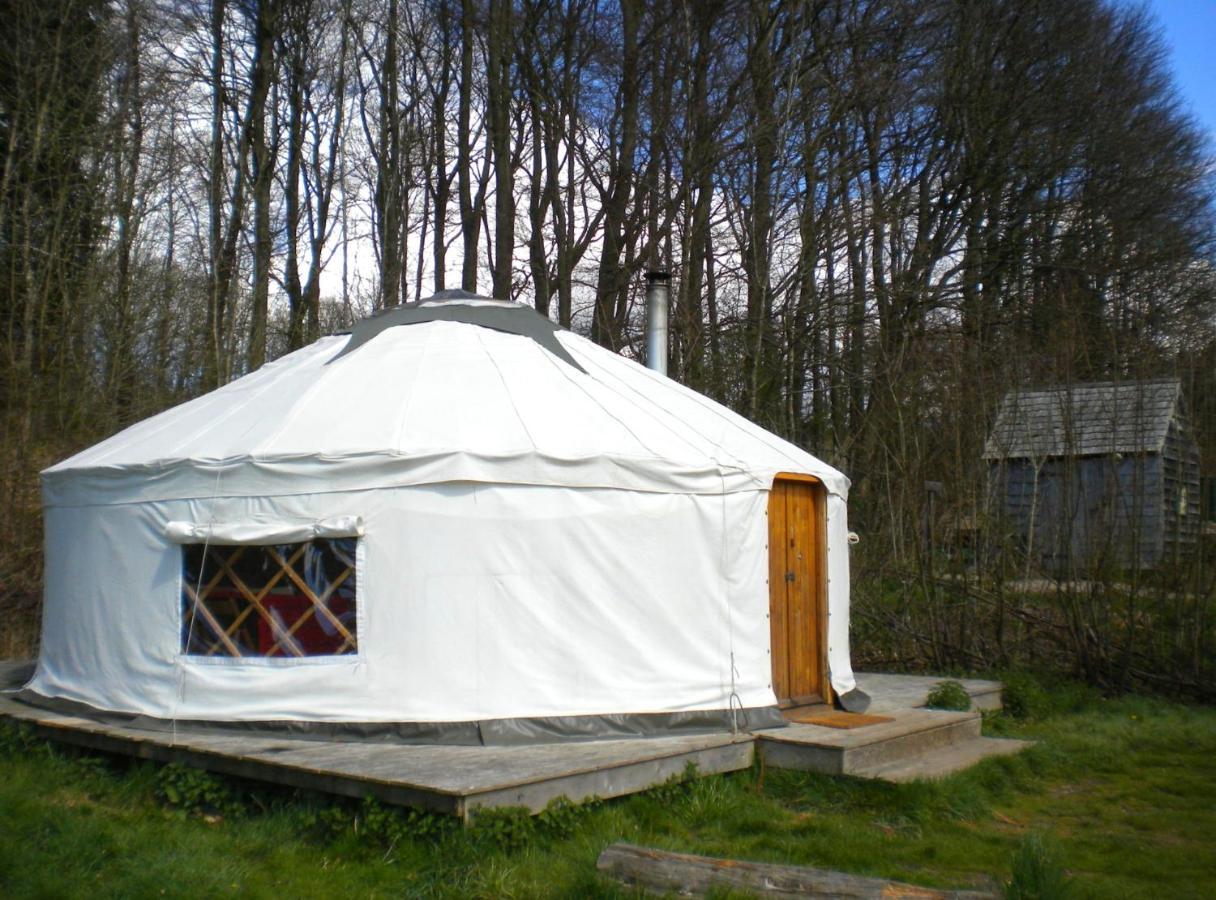 South Downs Eco Lodge & Camping East Meon Dış mekan fotoğraf