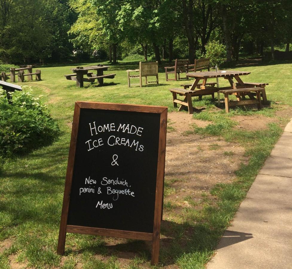 South Downs Eco Lodge & Camping East Meon Dış mekan fotoğraf