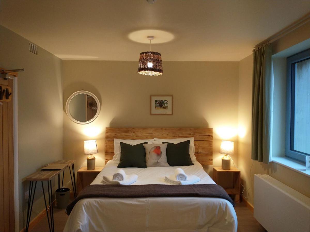 South Downs Eco Lodge & Camping East Meon Dış mekan fotoğraf