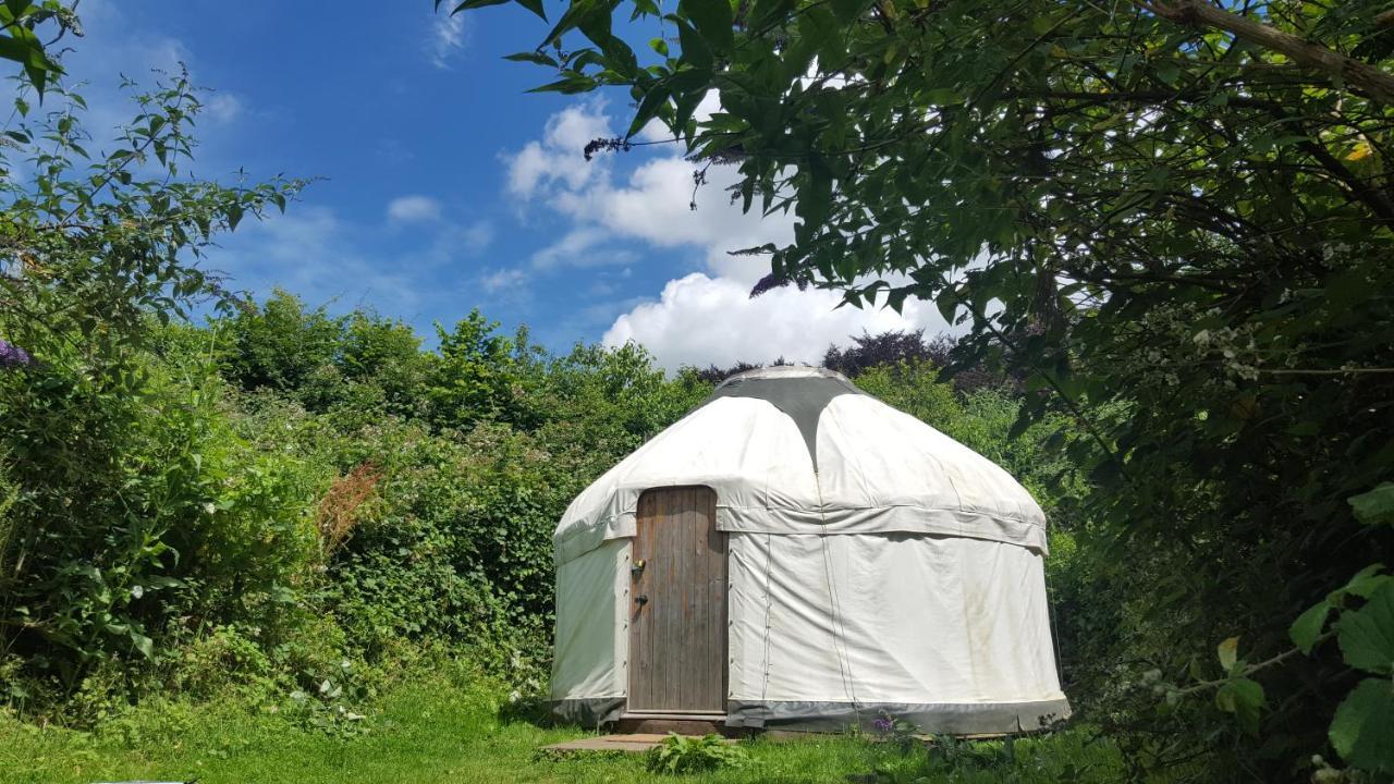 South Downs Eco Lodge & Camping East Meon Dış mekan fotoğraf