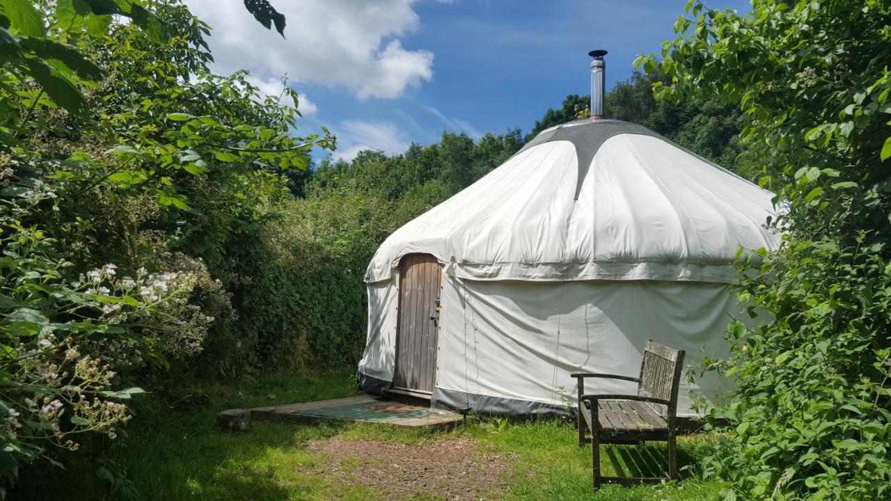 South Downs Eco Lodge & Camping East Meon Dış mekan fotoğraf