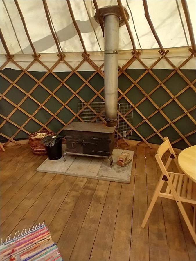 South Downs Eco Lodge & Camping East Meon Dış mekan fotoğraf