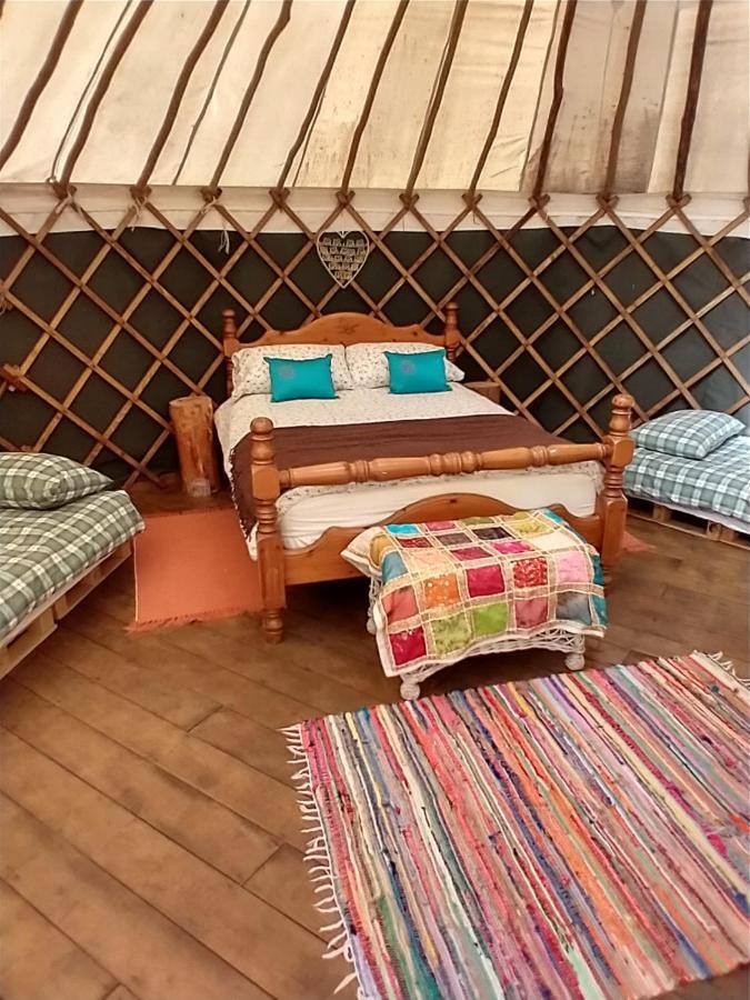 South Downs Eco Lodge & Camping East Meon Dış mekan fotoğraf