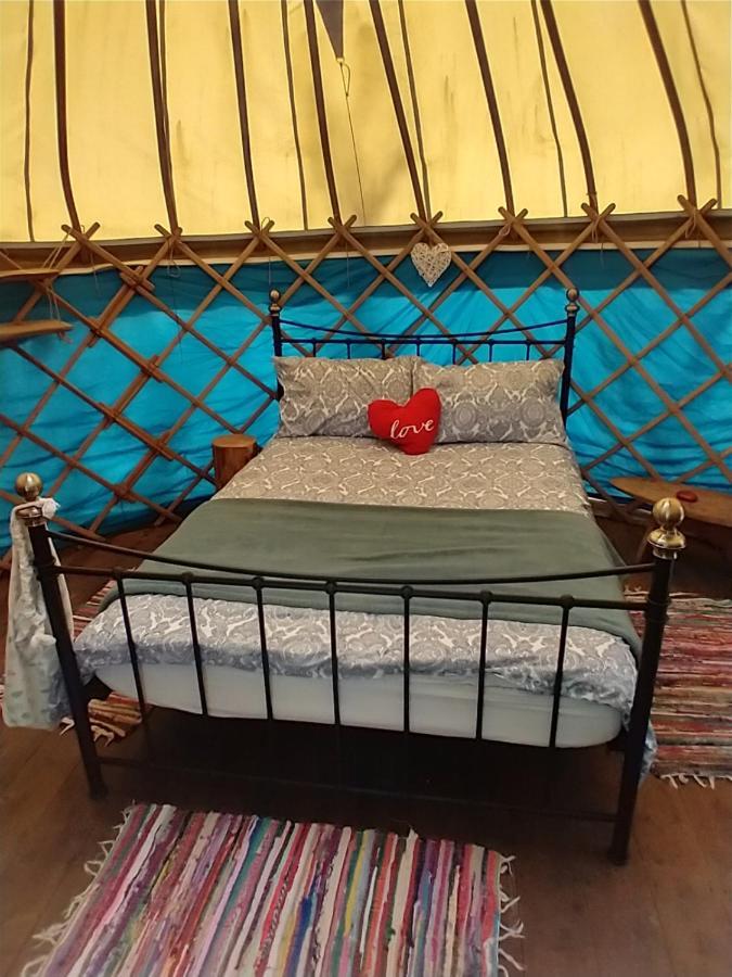 South Downs Eco Lodge & Camping East Meon Dış mekan fotoğraf